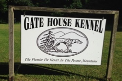 kennels dog friendly care in the poconos, pennsylvania, pet friendly boarding in the poconos, pennsylvania