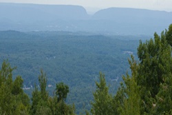 dog parks in the poconos