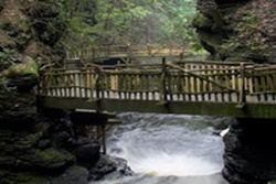 dog park in the poconos