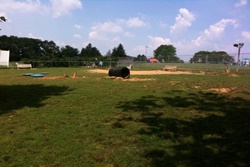 dog park in the poconos