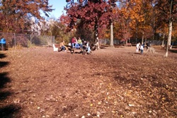 dog park in the poconos