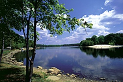 dog park in the poconos