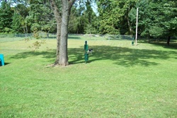 dog park in the poconos