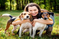 stroudsburg animal hospital, vets in stroudsburg pennsylvania, veterinarians in stroudsburg pa