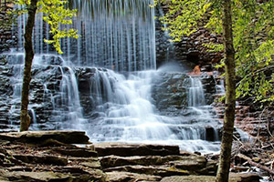 hickory run state park